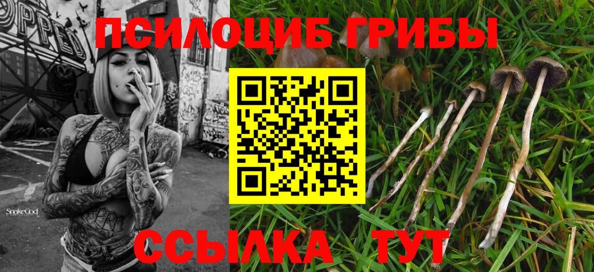 Галлюциногенные грибы мухоморы Узловая