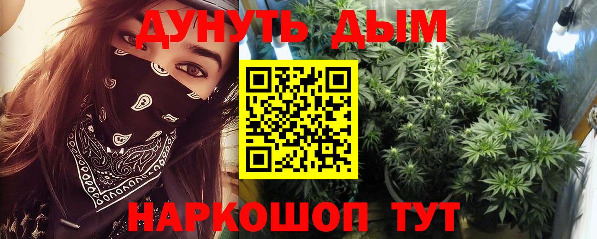 Канабис семена Узловая